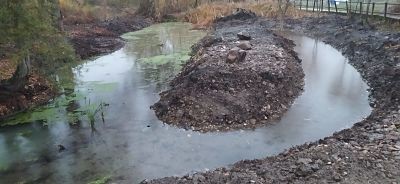 Restauraci&oacute;n de charca del paseo del r&iacute;o tir&oacute;n 