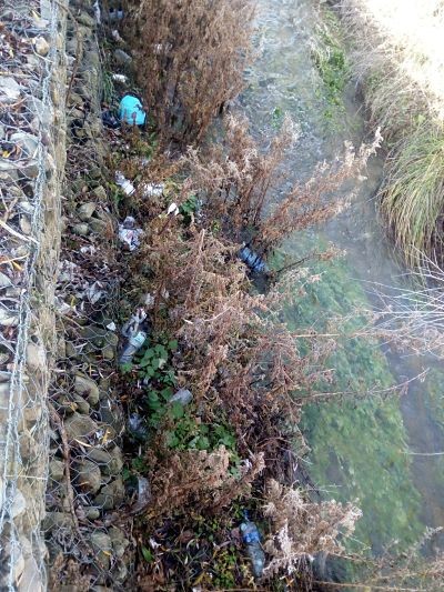 Voluntariados de limpieza de basuraleza en riberas