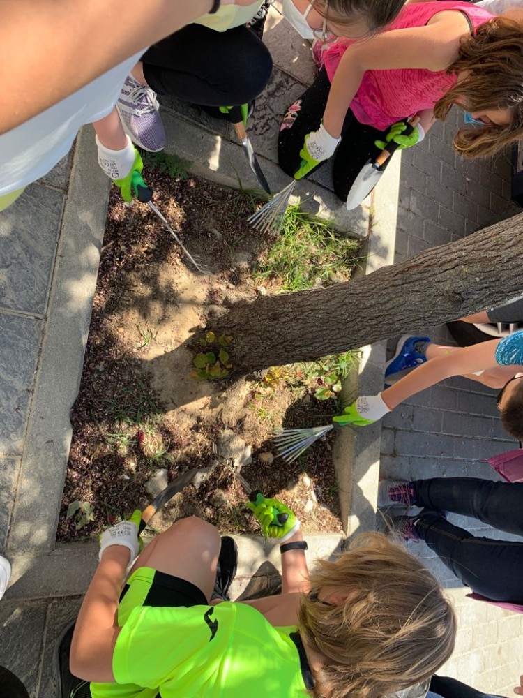 Fomento de la Biodiversidad con Centros Escolares 