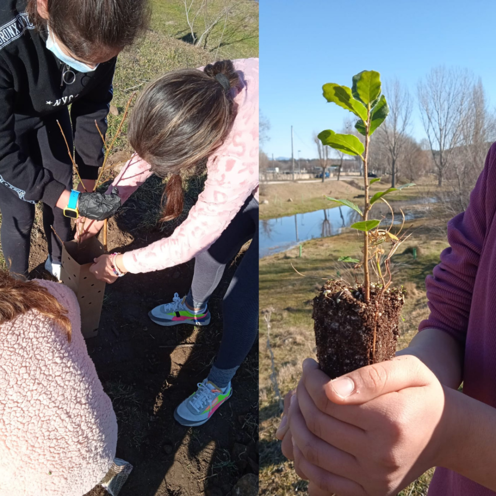 Ecolegio en Guadalix de la Sierra