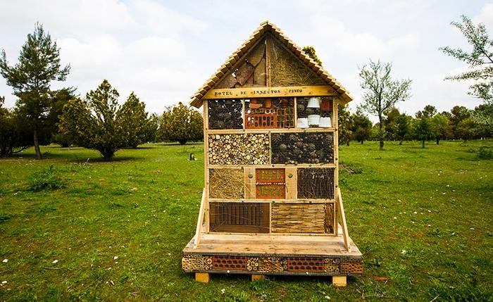 Hoteles para Insectos: Biodiversidad, empleo y eco