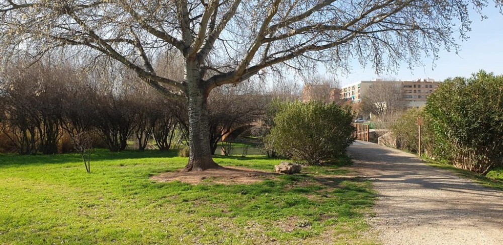 Quart de Poblet, municipio pionero en la reducci&oacute;