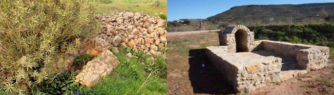 RECUPERANDO LAS FUENTES NATURALES DE AGUA PARA MIT
